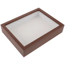 Butterflies Display Case Precious Photo Frame Dried Flower Stand Box