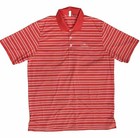 Ashworth Men's 2Xl Striped Polo Golf Shirt The Pearl Logo Classic Soft Polyester