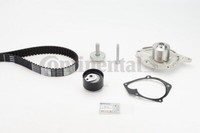 CT1035WP1 Continental Ctam Wasserpumpe + Zahnriemensatz FüR Nissan,Renault