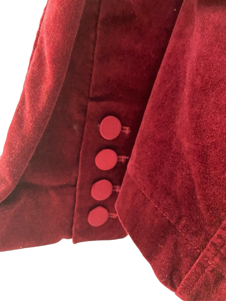Blazer Terciopelo Corbata Frontal Talla 6 Rojo Rubí Vamp Romántico Gótico Caprichoso Vacaciones WHBM Foto 4 de 4