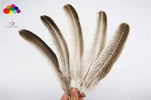 goose feather