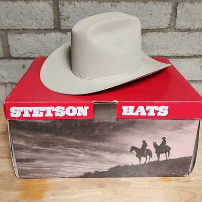 Stetson 4x Beaver Cowboy Hat Size 7 Silver Belly Rancher 4
