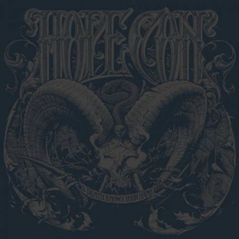 The Hope Conspiracy - Death Knows Your Name (Роскошный) НОВЫЙ запечатанный виниловый альбом