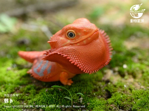 Lagarto Caja Ciega Animal Planet 16 Iguana Iguana Cyclura Lewisi Juguetes Figura de Resina - Imagen 9 de 26