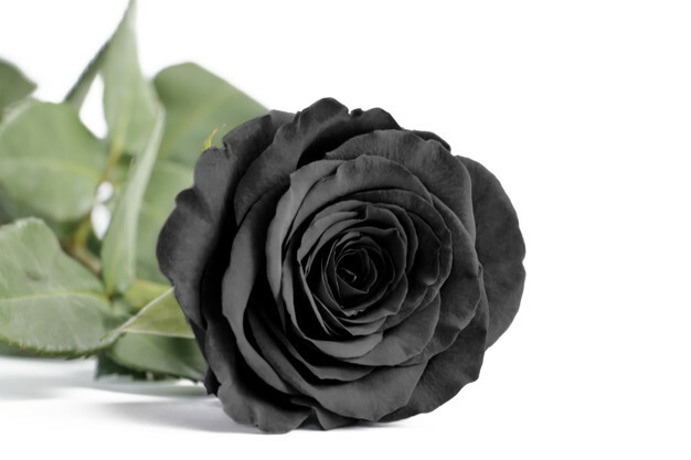 Imagen 1 de 9
