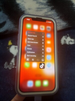 IPHONE 12 PRO MAX WITH TIK TOK APP