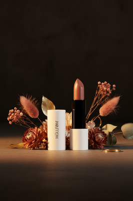 MOLLFOM Terracotta Nude Matte Lipstick   Velvety Color That Lasts All Day