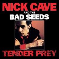Nick Cave & The Bad Seeds: Nick Cave & The Bad Seeds: Tender P...