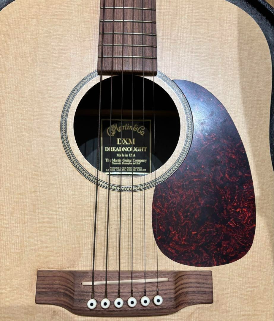 Martin & Co. DXM Dreadnought Acoustic Guitar w/case used