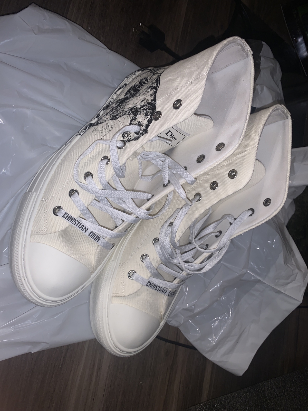 Dior “Walk’N Dior” Tiger sneaker 42 uS 9 image 3