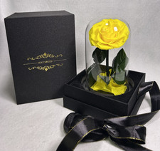 NATROSES Yellow Natural Preserved Rose in Glass Dome  Black Gift Box 7.5"H x 4"