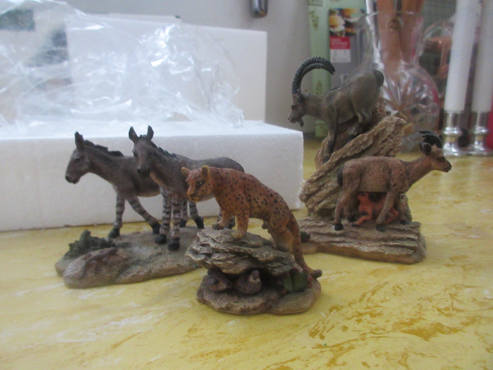 Picture 4 of 6