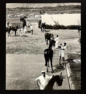 1970s Lima Peru Horse Race Track Grooming Washing Vintage Press Photo