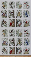 23.5" X 44" Panel Beautiful Birds Bird Birdwatching Cotton Fabric Panel D505.30