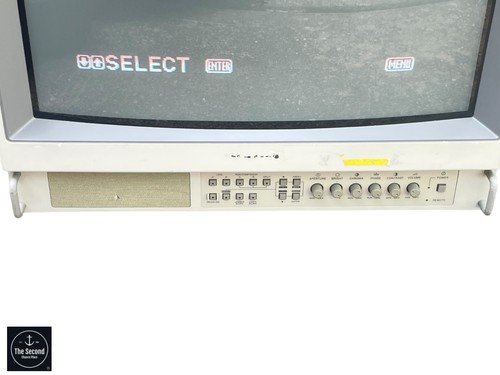 Sony PVM-1953ST 19" Trintron Color Video Monitor for Medical & Retro Gaming - Picture 3 of 9