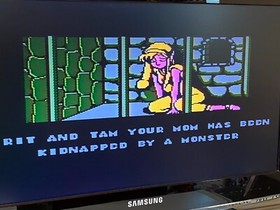 Rod Land Nintendo NES gioco inglese Nord America (NTSC) Rodland NES