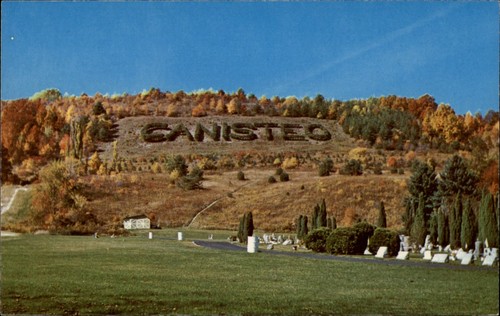 Canisteo New York living tree sign fall foliage aerial unused vintage postcard - 第 1/2 張圖片