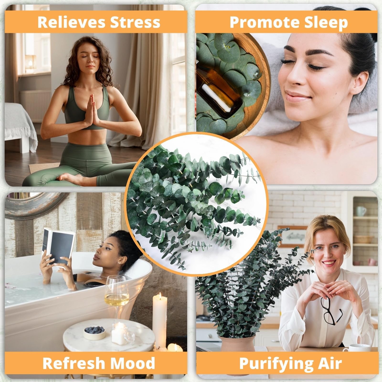 12 Pcs Dried Eucalyptus for Shower Hanging - 17 Real Large Preserved Eucalypt...