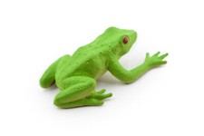 Frog, Red-Eyed Tree Frog Plastic Toy Realistic Figure Model Replica 2" F1670