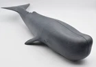 Playmobil Giant Sperm Whale from Set 4489 open Mouth. 14". plastic. Vintage