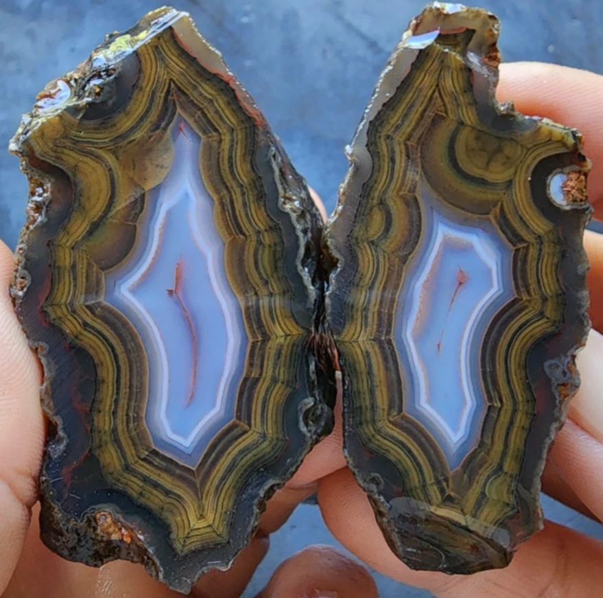 Laguna Agate for sale | eBay