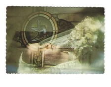 Training makes a difference hire a pro wedding photographer VTG postcard UNP