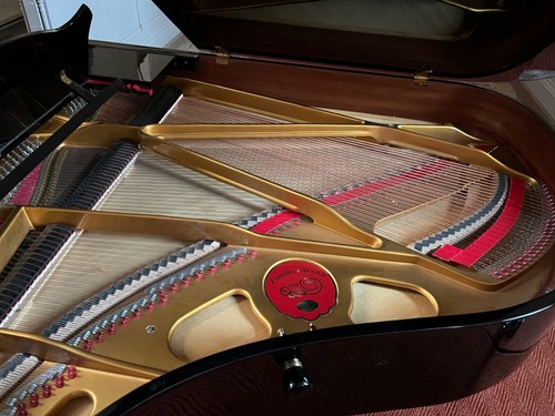 BECHSTEIN GRUPPE ZIMMERMANN Flügel Stutzflügel Grand Piano Salonflügel - Bild 4 von 12