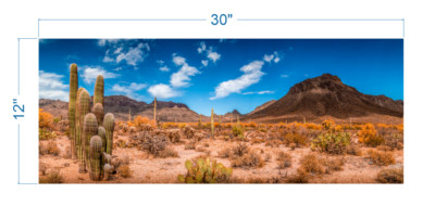 Terrarium Background Desert Landscape v2 - vinyl graphic adhesive TR0003