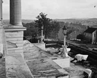 Cannon on the steps of Tennessee Capitol Nashville New 8x10 US Civil War Photo