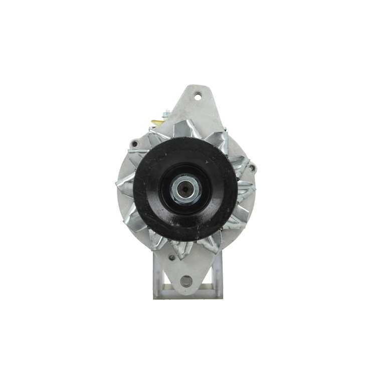 Alternatore 196.803.025.050 BV PSH - Immagine 3