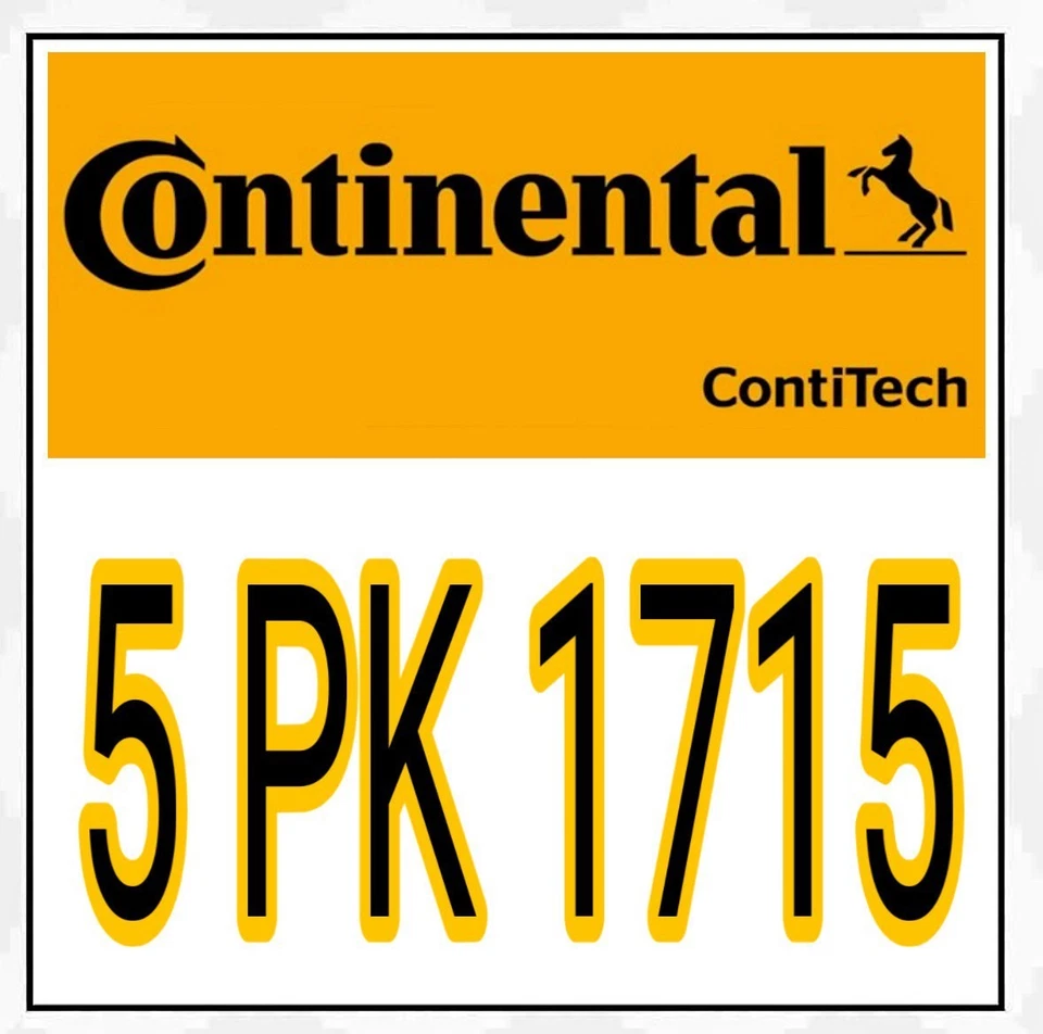 CONTINENTAL CTAM 5PK1715 Keilrippenriemen + Rolle für Mercedes W168 W414 Vaneo - Bild 3 von 3