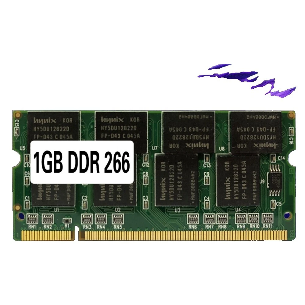 1 GB Capacity per Module DDR1 SDRAM Computer Memory (RAM) 1 Modules