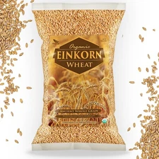 Einkorn Wheat - 100% Certified Organic Einkorn Wheat (5-25 Pounds)