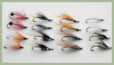 Mixed Salmon or Sea trout Single, 16 Pack, 8 Varieties, Mixed 8/10, Fly Fishing
