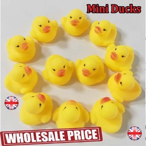 500 rubber ducks