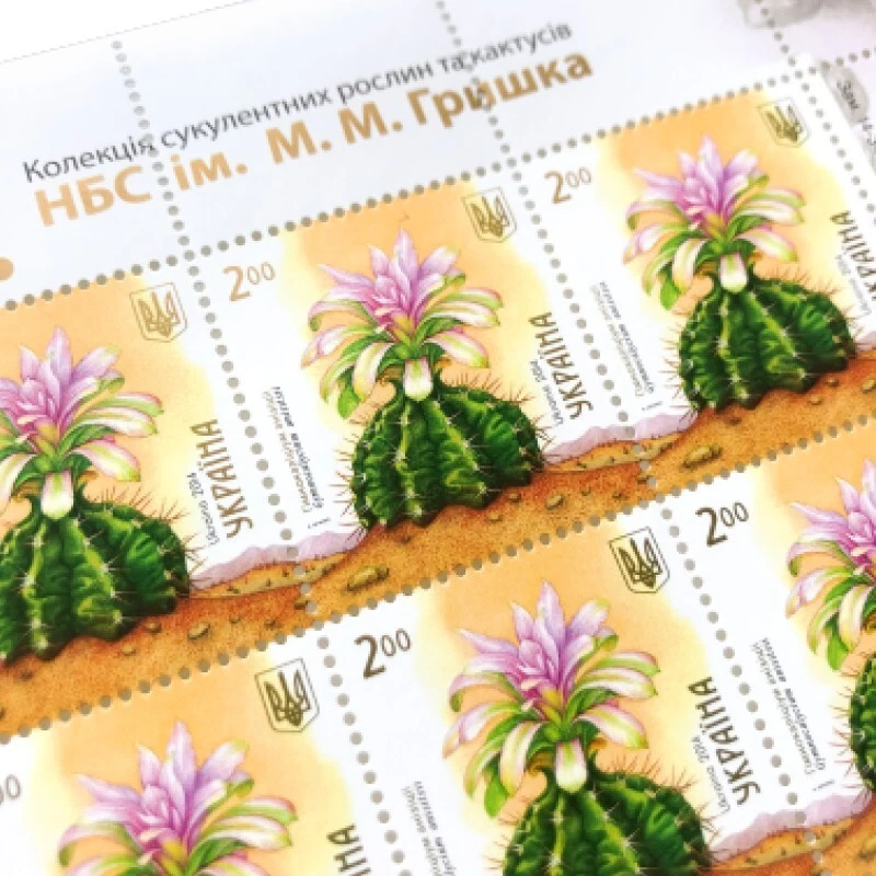 SELLOS RAROS de Ucrania 2014 "Himnocalítico de la Anunciación" HOJA COMPLETA Foto 2 de 3