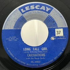 Rock, Blues, Pop Carnations With Joe René Orch.* - Long Tall Girl 