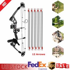 Compound Bow Kit with 12 Arrows Right Hand Archery Hunting Set Black 30-55lbs
