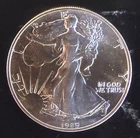 1989 American Eagle Toned Walking Liberty Bullion Vtg-0.999 Silver 1 Oz Coin 2g