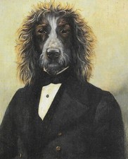 Wirehaired Pointing Griffon - CUSTOM MATTED - Vintage Dog Print - Poncelet 0810