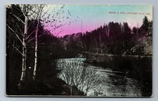 C.1910 HAND COLORED CHIPPEWA FALLS, WI, BRIDGE IN PARK Postcard P26