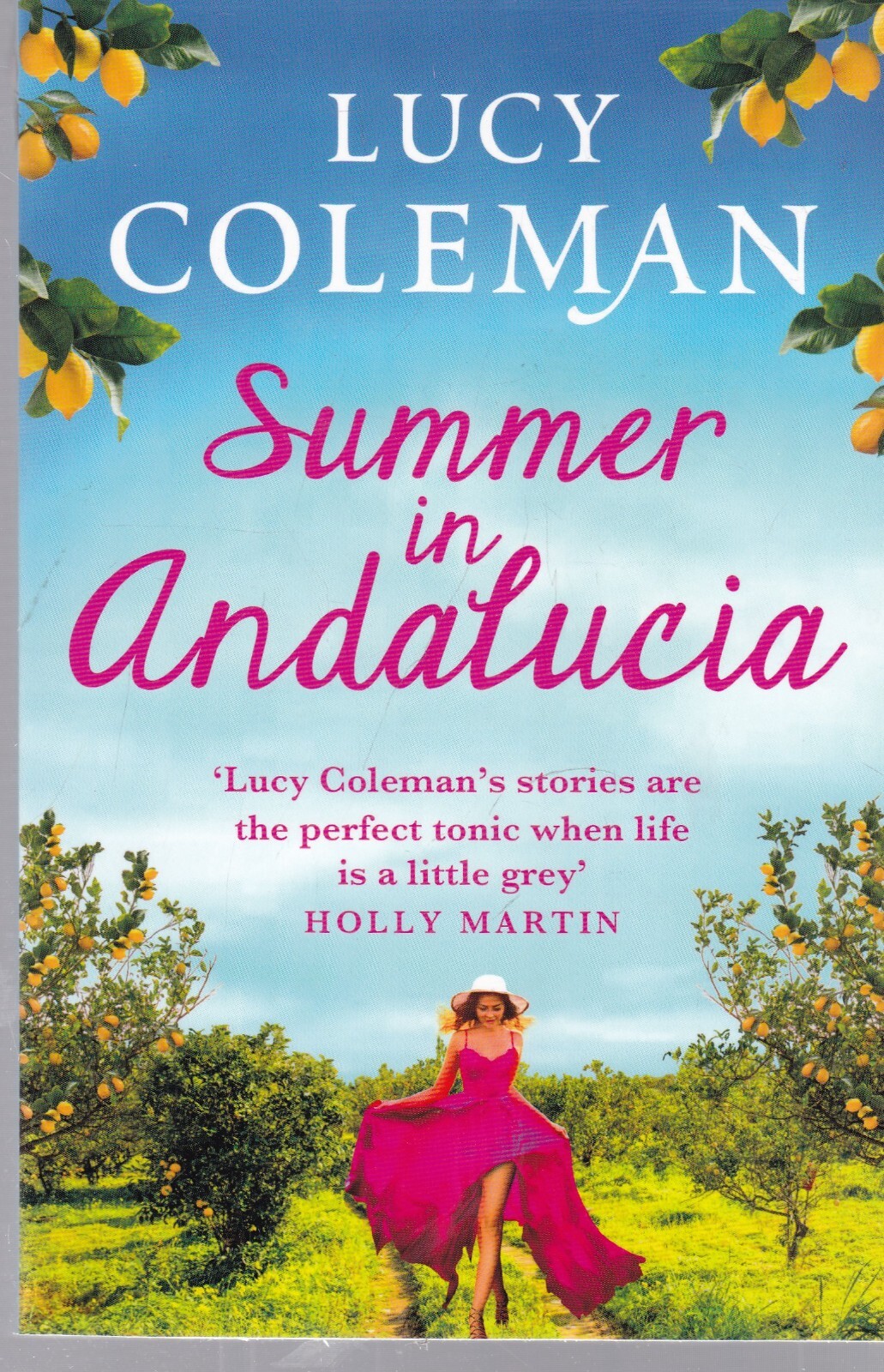 Lucy Coleman Summer in Andalucia Book New perfect escapist, romantic read
