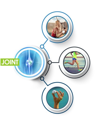 Kirkland Signature Joint Health Supplement 1500 + 1500, 375 tabletas, versión de EE. UU. - Imagen 6 de 9