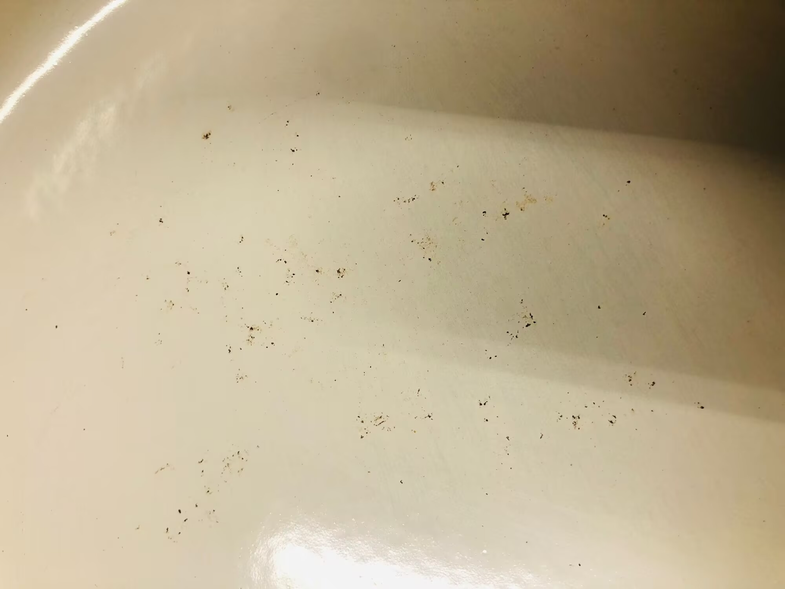 Picture 3 of 10