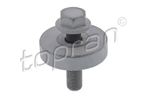 Riemenscheibenschraube Topran 701 616 FÜR Renault-image