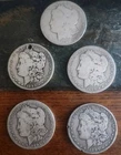 Estate Find 5 1897-1901 MORGAN Dollars Lot