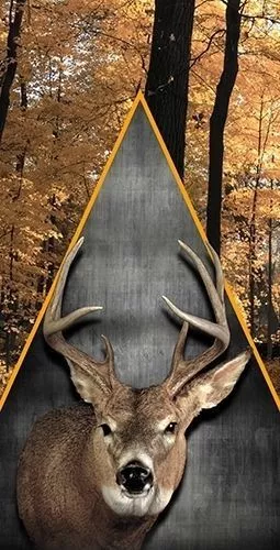 Pack top boards hunting