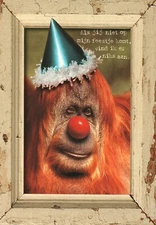 Orangutan in Party Hat and Red Clown Nose Postcard