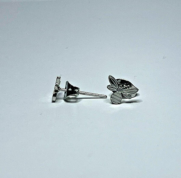 Pendientes - Atacama