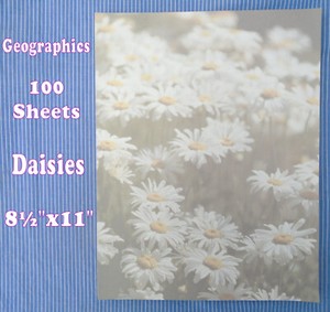 Geographics Letterhead Stationery Daisy Daisies 100 8½"x11" Sheets Printer Paper